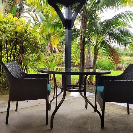 Island Goode'S - Luxury Adult Only Accommodation Near Hilo Papaikou Kültér fotó