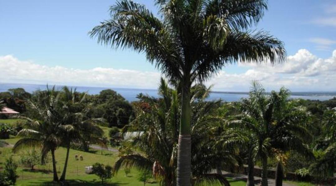 Island Goode'S - Luxury Adult Only Accommodation Near Hilo Papaikou Kültér fotó