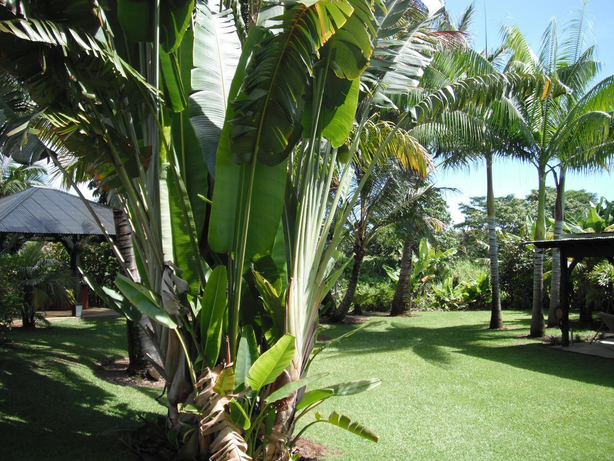 Island Goode'S - Luxury Adult Only Accommodation Near Hilo Papaikou Kültér fotó