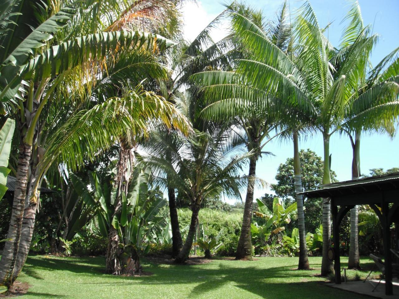 Island Goode'S - Luxury Adult Only Accommodation Near Hilo Papaikou Kültér fotó