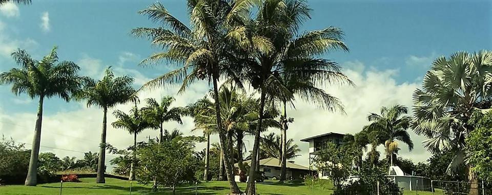 Island Goode'S - Luxury Adult Only Accommodation Near Hilo Papaikou Kültér fotó